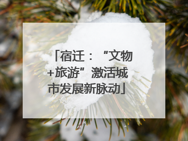 宿迁：“文物+旅游”激活城市发展新脉动