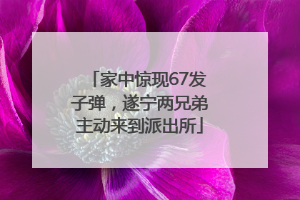 家中惊现67发子弹，遂宁两兄弟主动来到派出所