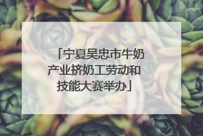宁夏吴忠市牛奶产业挤奶工劳动和技能大赛举办