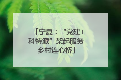 宁夏：“党建+科特派”架起服务乡村连心桥