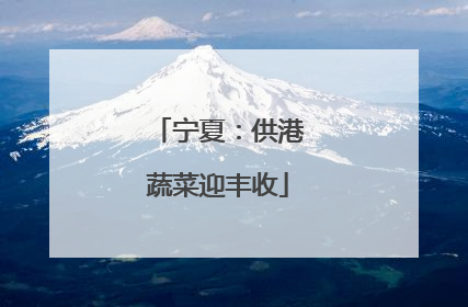 宁夏：供港蔬菜迎丰收