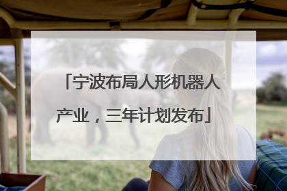 宁波布局人形机器人产业，三年计划发布
