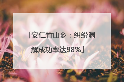 安仁竹山乡：纠纷调解成功率达98%