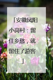 安徽凤阳小岗村：留住乡愁，就留住了游客