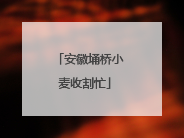 安徽埇桥小麦收割忙
