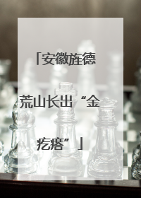 安徽旌德 荒山长出“金疙瘩”