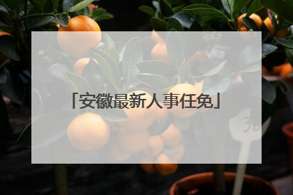 安徽最新人事任免