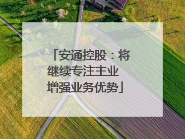 安通控股：将继续专注主业 增强业务优势