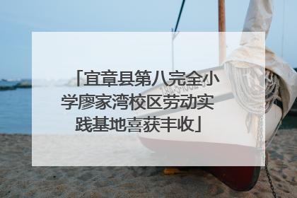 宜章县第八完全小学廖家湾校区劳动实践基地喜获丰收