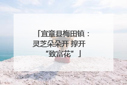 宜章县梅田镇：灵芝朵朵开 撑开“致富花”