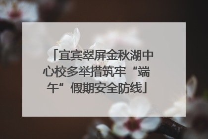 宜宾翠屏金秋湖中心校多举措筑牢“端午”假期安全防线