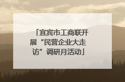 宜宾市工商联开展“民营企业大走访”调研月活动