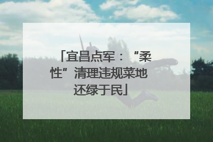 宜昌点军：“柔性”清理违规菜地 还绿于民