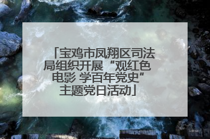 宝鸡市凤翔区司法局组织开展“观红色电影 学百年党史”主题党日活动