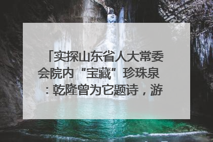 实探山东省人大常委会院内“宝藏”珍珠泉：乾隆曾为它题诗，游客无需预约免费游览