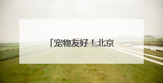 宠物友好！北京这些景区各有特色！这里狗狗还能免费玩跳圈！就在