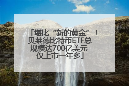 堪比“新的黄金”！贝莱德比特币ETF总规模达700亿美元 仅上市一年多