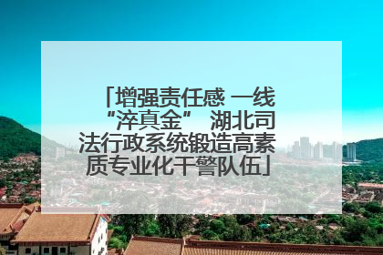 增强责任感 一线“淬真金” 湖北司法行政系统锻造高素质专业化干警队伍