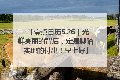 壹点日历5.26｜光鲜亮丽的背后，定是脚踏实地的付出！早上好