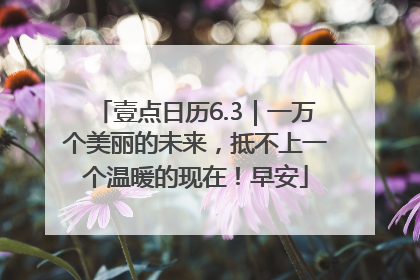 壹点日历6.3｜一万个美丽的未来，抵不上一个温暖的现在！早安