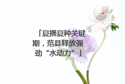 夏播夏种关键期，范县释放强劲“水动力”