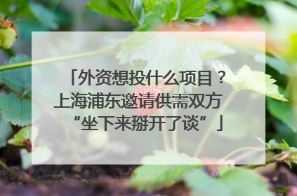 外资想投什么项目？上海浦东邀请供需双方“坐下来掰开了谈”