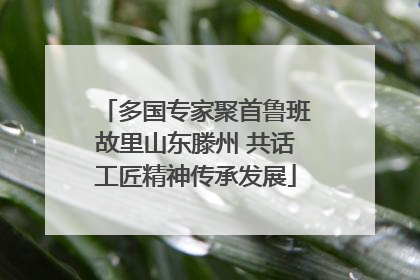 多国专家聚首鲁班故里山东滕州 共话工匠精神传承发展