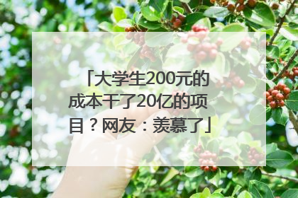 大学生200元的成本干了20亿的项目？网友：羡慕了