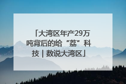 大湾区年产29万吨背后的给“荔”科技｜数说大湾区