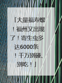 大量福寿螺！福州又出现了！寄生虫多达6000条！千万别碰、别吃！