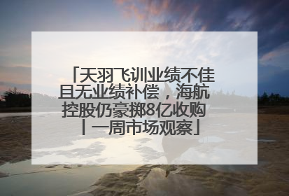 天羽飞训业绩不佳且无业绩补偿，海航控股仍豪掷8亿收购丨一周市场观察