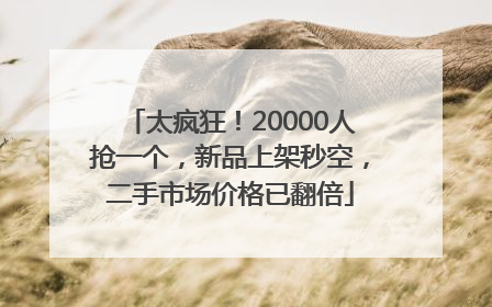 太疯狂！20000人抢一个，新品上架秒空，二手市场价格已翻倍