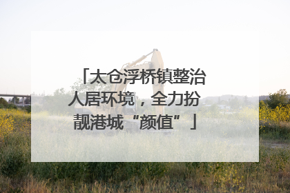 太仓浮桥镇整治人居环境，全力扮靓港城“颜值”