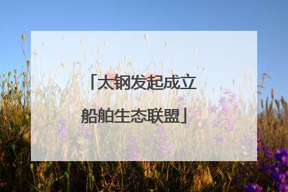 太钢发起成立船舶生态联盟
