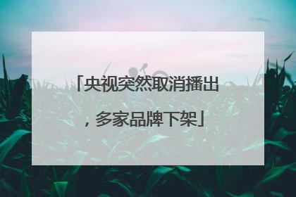 央视突然取消播出，多家品牌下架