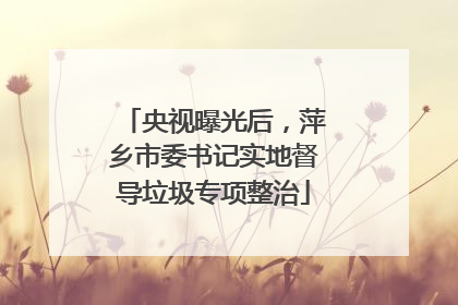 央视曝光后，萍乡市委书记实地督导垃圾专项整治