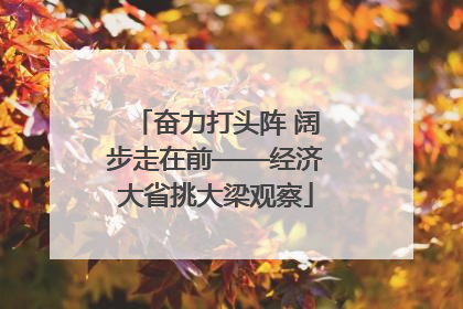 奋力打头阵 阔步走在前——经济大省挑大梁观察