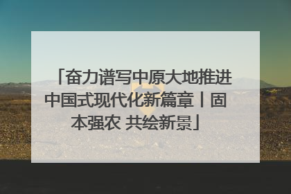 奋力谱写中原大地推进中国式现代化新篇章丨固本强农 共绘新景