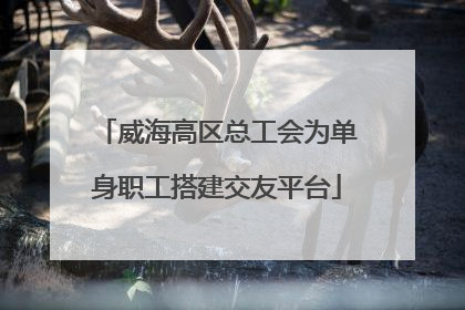 威海高区总工会为单身职工搭建交友平台