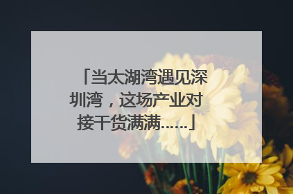 当太湖湾遇见深圳湾，这场产业对接干货满满……