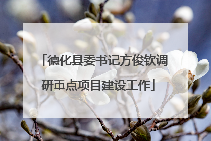 德化县委书记方俊钦调研重点项目建设工作