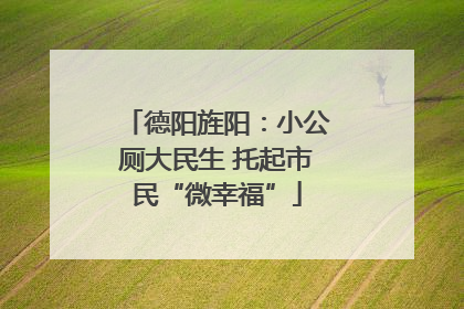 德阳旌阳：小公厕大民生 托起市民“微幸福”