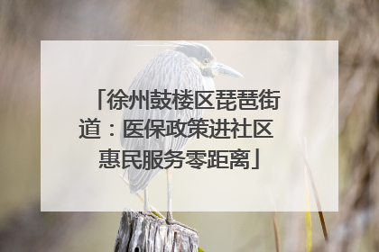 徐州鼓楼区琵琶街道：医保政策进社区 惠民服务零距离