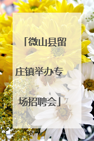 微山县留庄镇举办专场招聘会
