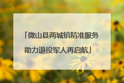 微山县两城镇精准服务助力退役军人再启航