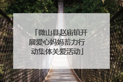 微山县赵庙镇开展爱心妈妈蓄力行动集体关爱活动