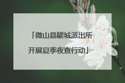微山县驩城派出所开展夏季夜查行动