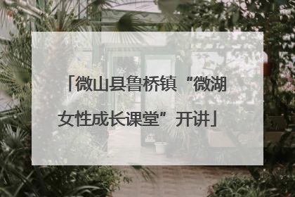 微山县鲁桥镇“微湖女性成长课堂”开讲