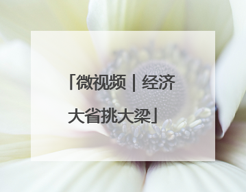微视频｜经济大省挑大梁
