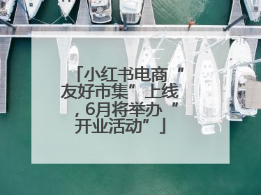 小红书电商“友好市集”上线，6月将举办“开业活动”